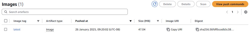 AWS ECR image pushed successfully